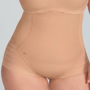 HONEYLOVE New Womens Queen Brief Sculptwear Shapewear Panty Nylon Tan Sand 2X